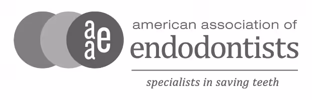 Aae logo BW new