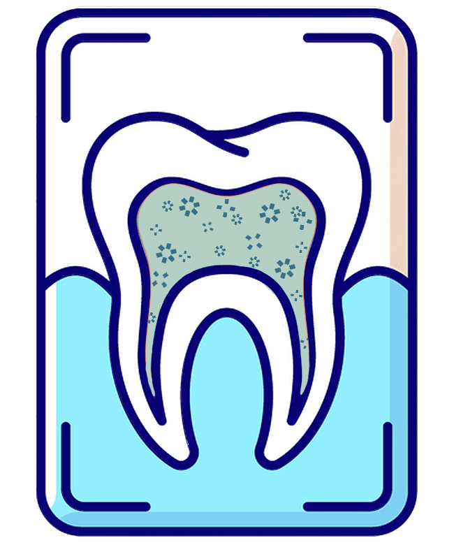 Regenerative tooth photo